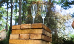 Games for Weddings in Charlotte